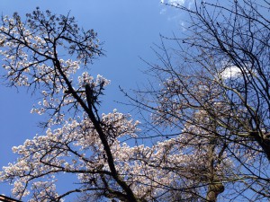 070
